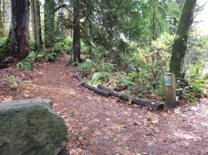 Spruce Trail with directional signage, natural surface, and slight incline